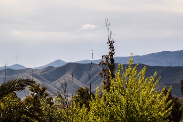 Casas rurales Los Albardinales, casas rurales en Almería